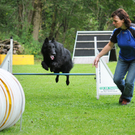 a Hundefreunde Egg 04_09_2010 44_jpg-1283771784