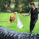 a Hundefreunde Egg 04_09_2010 81_jpg-1283771850