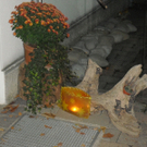 BK_CIMG0878.jpg