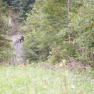 DSC_9778.jpg