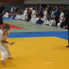 IMG_4784.JPG