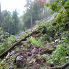 Leserreporter: Felssturz in Reuthe
