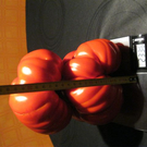 IMG_0012.JPG