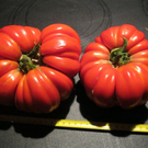IMG_0014.JPG