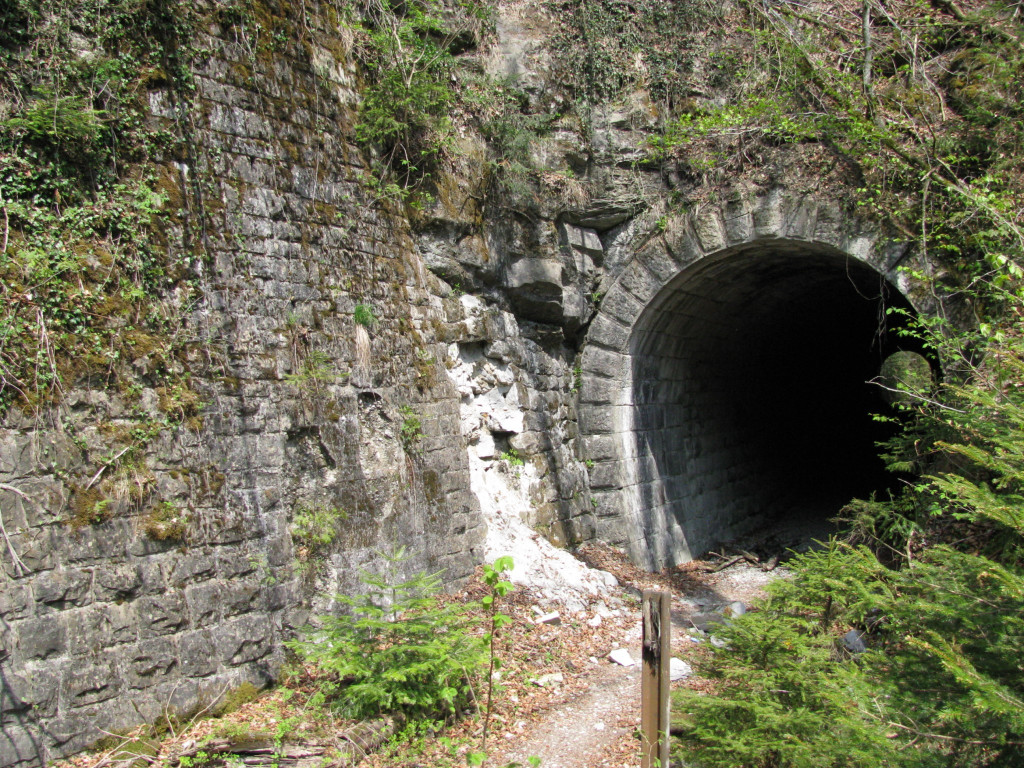 Rickenbachtunnel 2010_jpg-1283857752