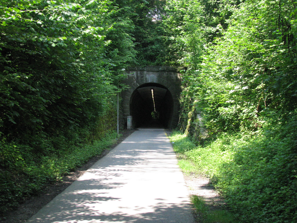 Riedentunnel 2010_jpg-1283857859
