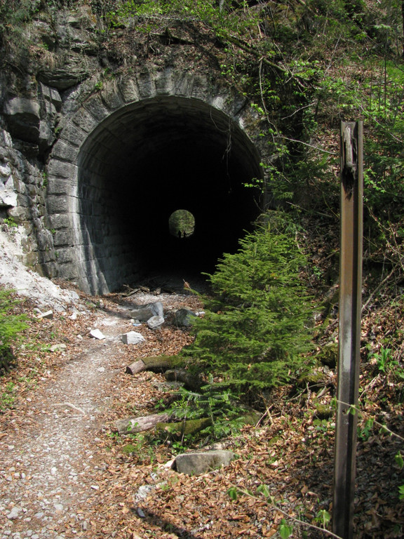 Rickenbachtunnel_JPG-1283858297