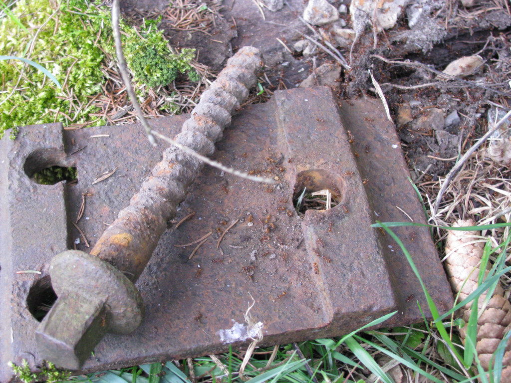 Schraube_JPG-1283858372