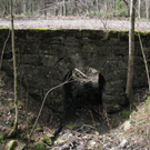 Wasserdurchlass zwischen Egg und Lingenau_JPG-1283858458