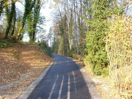 sm_gemeinde_blasenberg05.JPG