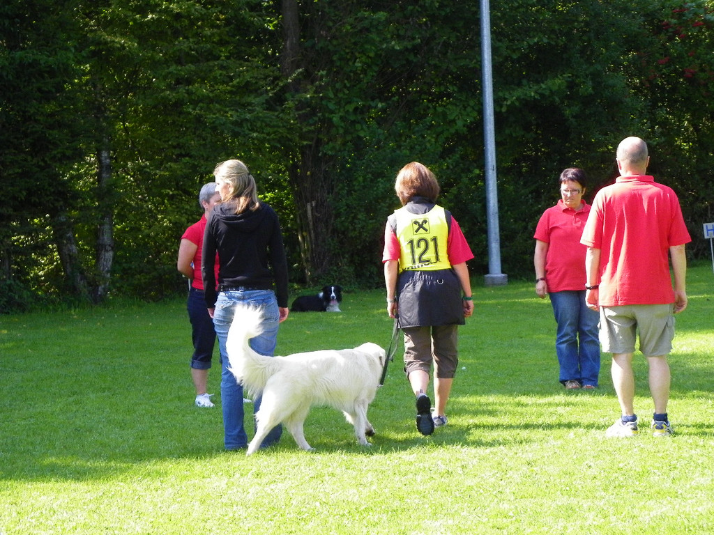 105_1591_jpg-1283899184