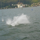 105b9028_jpg-1283900489