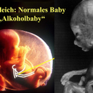 SS und Alkohol-3.jpg