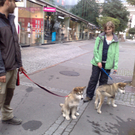 07092010268.jpg