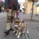 07092010275.jpg
