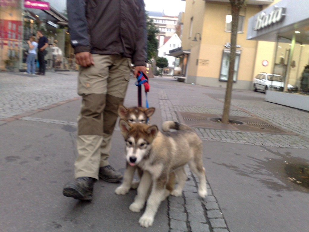 07092010275.jpg