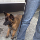 07092010278.jpg