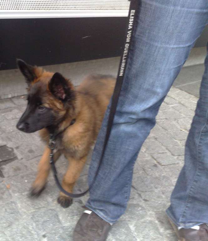 07092010278.jpg