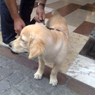 07092010279.jpg