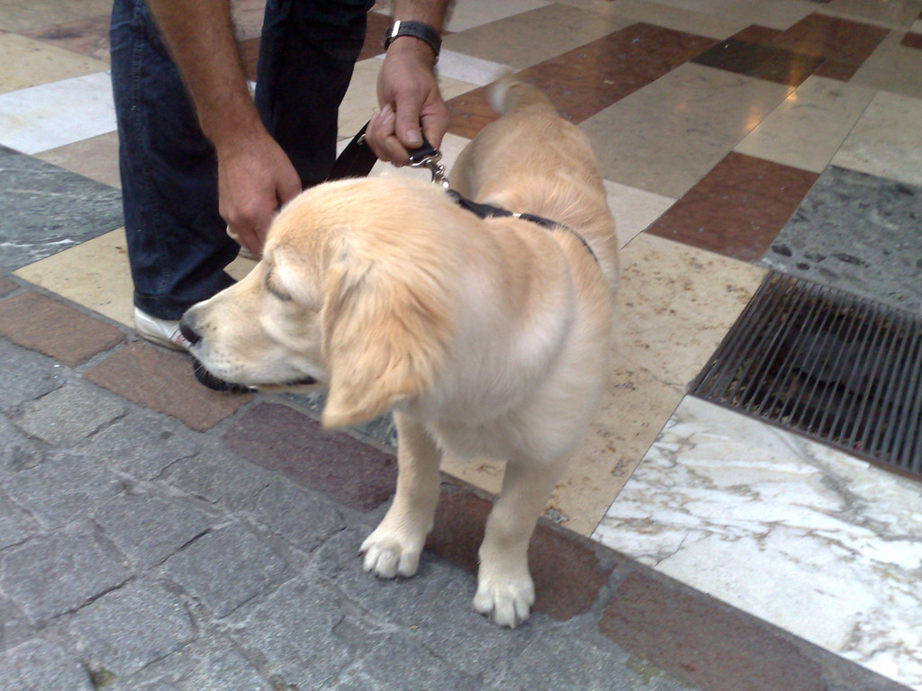 07092010279.jpg