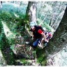 smallfx_Hochseilgarten02092010 _41__JPG-1283952155.jpg
