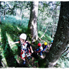 smallfx_Hochseilgarten02092010 _43__JPG-1283952176.jpg