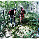 smallfx_Hochseilgarten02092010 _46__JPG-1283952216.jpg