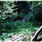 smallfx_Hochseilgarten02092010 _63__JPG-1283952279.jpg
