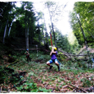 smallfx_Hochseilgarten02092010 _89__JPG-1283952369.jpg