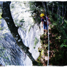 smallfx_Hochseilgarten02092010 _156__JPG-1283952459.jpg
