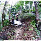 smallfx_Hochseilgarten02092010 _250__JPG-1283952662.jpg