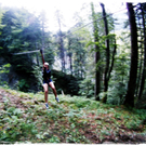 smallfx_Hochseilgarten02092010 _301__JPG-1283952734.jpg