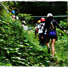 smallfx_hochseilgarten02092010_nikon _44__JPG-1283952985.jpg