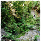 smallfx_hochseilgarten02092010_nikon _49__JPG-1283953071.jpg