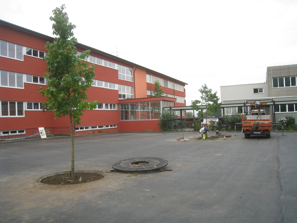 Schulhof Baeume neu _9__jpg-1283954391