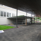 Schulhof Baeume neu _2__jpg-1283954229