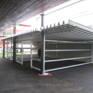 Schulhof Baeume neu _3__jpg-1283954247