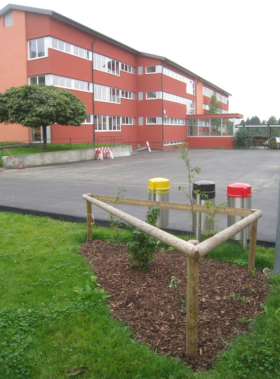 Schulhof Baeume neu _5__jpg-1283954307