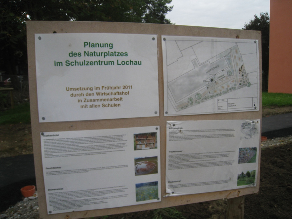 Schulhof Baeume neu _7__jpg-1283954343