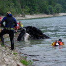 normal_08092010vuwiestalfmaktivnews_56.jpg