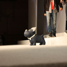 IMG_5478.jpg