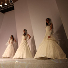 IMG_5485.jpg