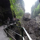 RIMG0742_JPG-1284039253
