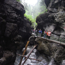 RIMG0738_JPG-1284040814
