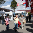 IMG_5536.jpg
