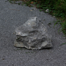 normal_09092010steinschlaga10fmaktivnews_03.jpg
