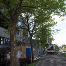 DSC09438.JPG