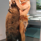 N2.jpg