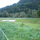 Bild 023_jpg-1284121580
