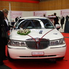 IMG_5954.jpg